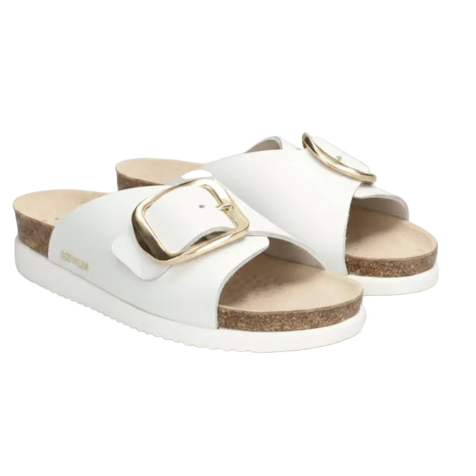 White sandals with gold buckles on a white background