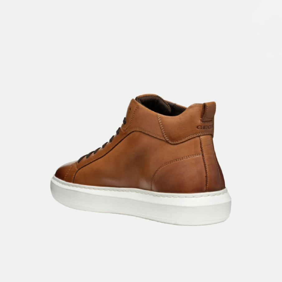Brown leather sneaker on a white background