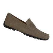 loafer shoe on a white background